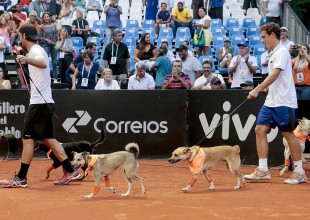 Perros recogepelotas se roban el show durante partido de tenis