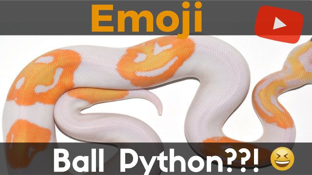 Presentan la primera serpiente con emoticones en la piel