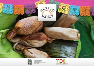 Lo mejor de la gastronomía de calle en "México con las manos"