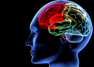 Implantes cerebrales, podrían mejorar la memoria humana