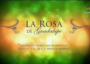 Las 5 escenas de la Rosa De Guadalupe que fueron tendencia