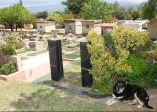 Así como en Hachiko, perro muere en la tumba de su dueño