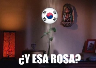 Los memes más coreanos de México