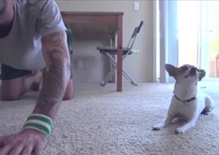 A este perrito le encanta el yoga y se está haciendo viral