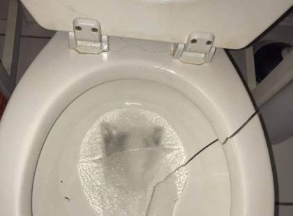 Chicago está tan frío que hasta los inodoros se están rompiendo