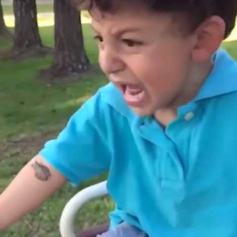 Niño es atacado por una rana y su mamá burlona empeora las cosas