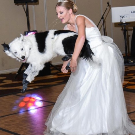 Baila su vals de bodas con su perrito