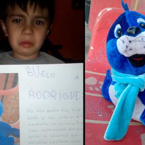 Niño pierde peluche y video con cartel de su juguete se hace viral