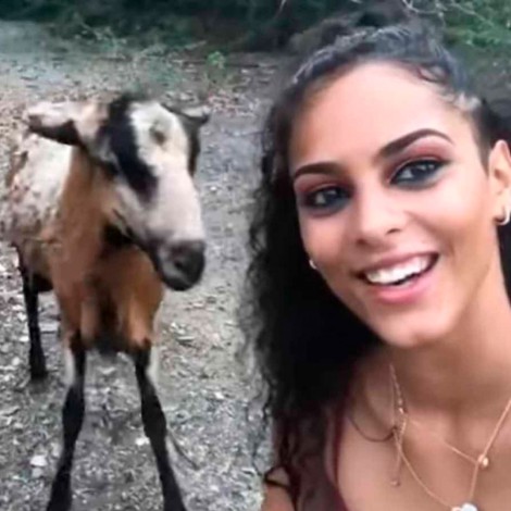 Mujer intenta tomar selfie con una cabra y esta le responde con tremendo golpe