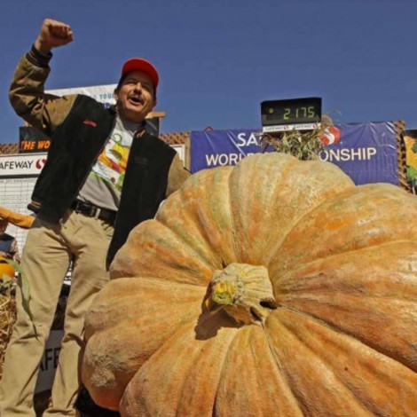 La calabaza gigante que pesa casi una tonelada que se ha viralizado