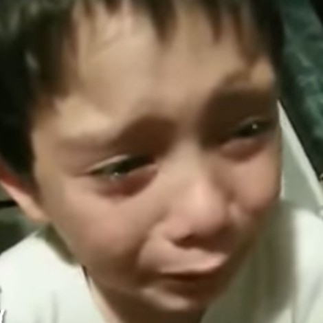 Niño llora porque aplastó una hormiguita