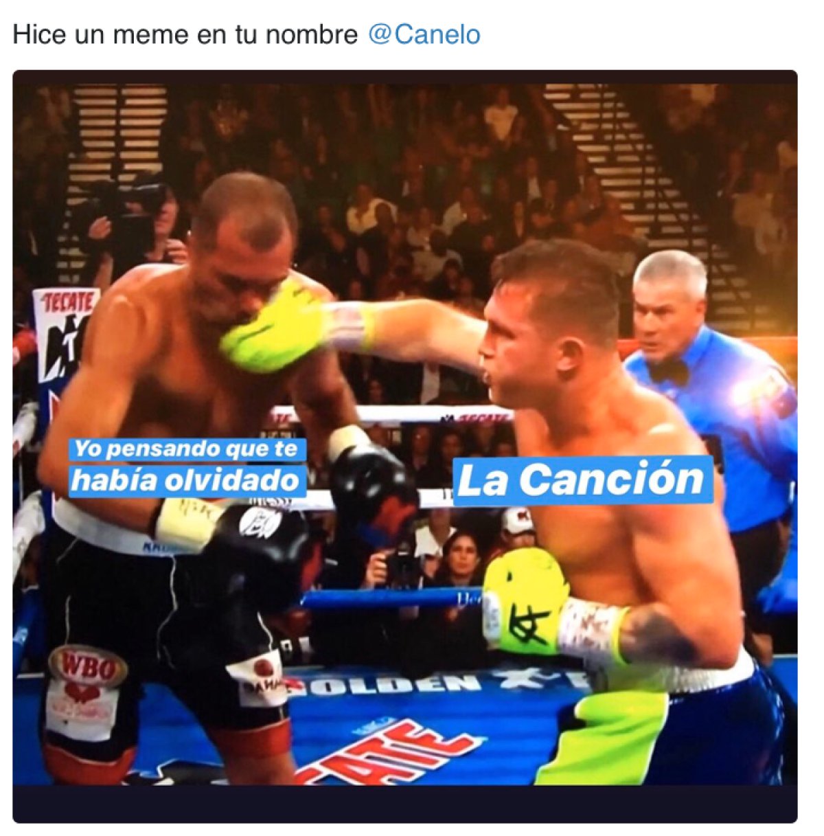 Los memes que dejó la pelea y victoria del Canelo Álvarez