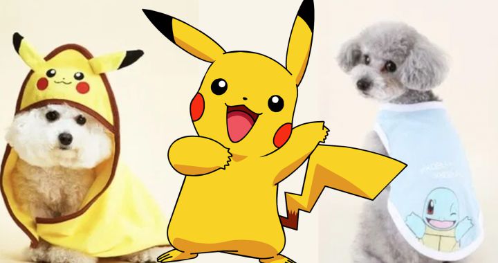 Lanzan linea de ropa para perritos inspirada en Pokémon | Actualidad |  LOS40 México