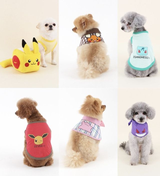 Lanzan linea de ropa para perritos inspirada en Pokémon | Actualidad |  LOS40 México