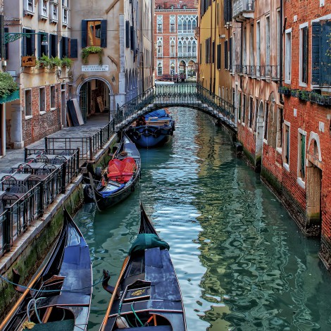 Venecia con agua limpia y peces nadando en canales por cuarentena