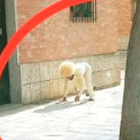 Hombre se disfraza de perro para poder salir a la calle