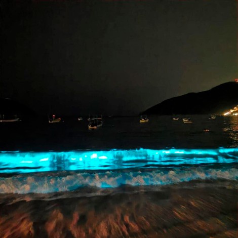 Ausencia de turistas provoca bioluminiscencia en playa de Acapulco