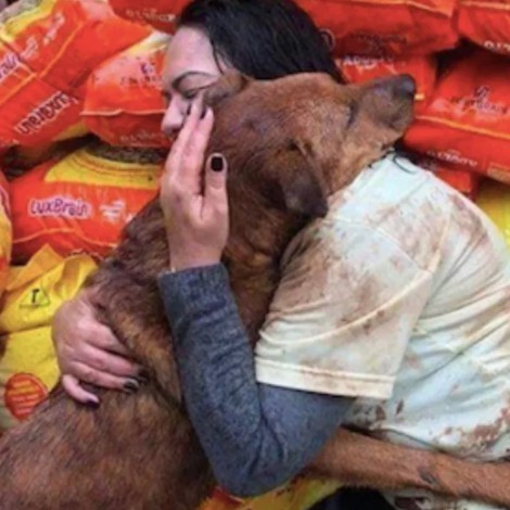 Perrito abraza a mujer que donó croquetas a su refugio