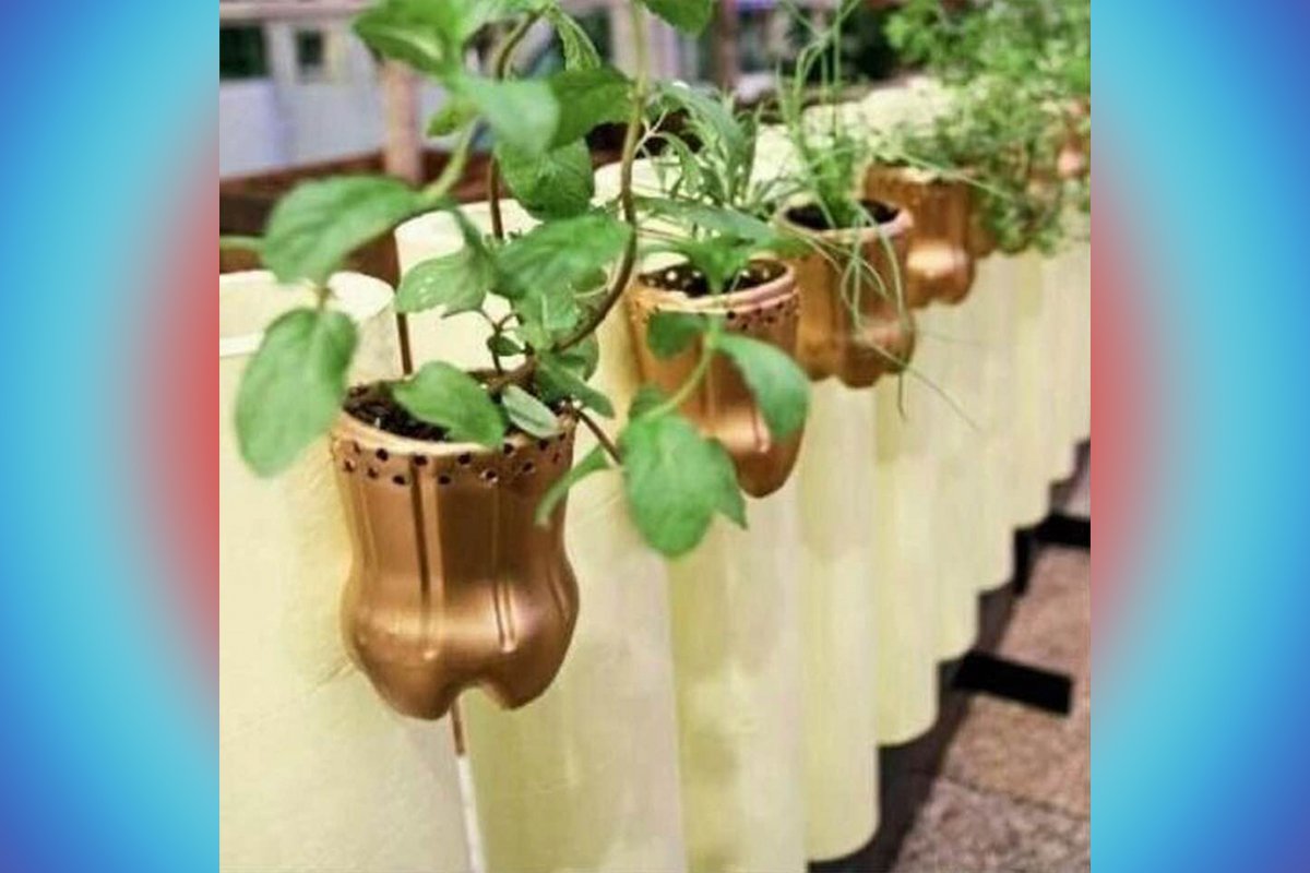 Recicla botellas y haz unas macetas para tus plantas
