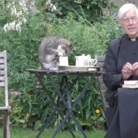 Gatito interrumpe la transmisión de un sacerdote y le roba leche