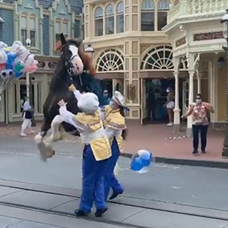 Caballo se descontrola en reapertura de Disney