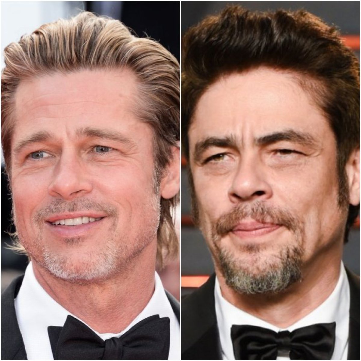 Benicio del toro brad pitt meme