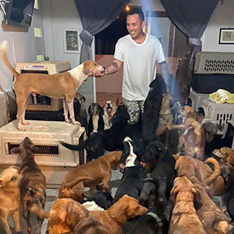 Hombre refugia en su casa a 300 perros callejeros durante huracán