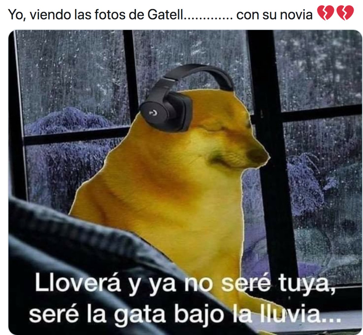 Los mejores memes de Gatell y su novia besándose | Fotogalería | Tendencias | LOS40 México