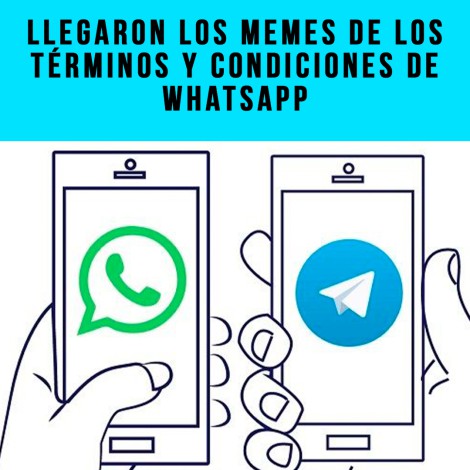 Whatsapp actualiza aviso de privacidad y usuarios responde con memes