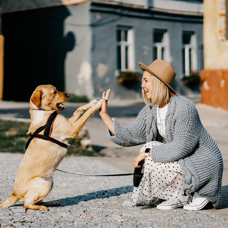 Una mujer que ama a los perros, sabe amar profundamente