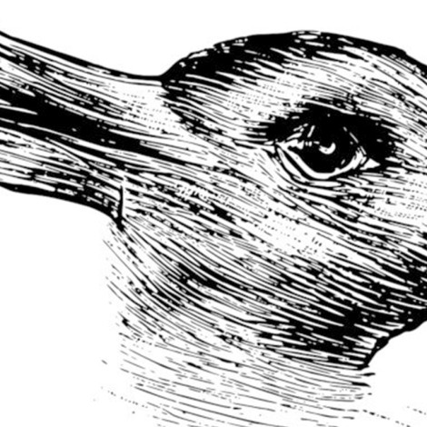 ¿Pato o conejo? La ilusión óptica que enloquece a tu cerebro; psicólogos lo explican