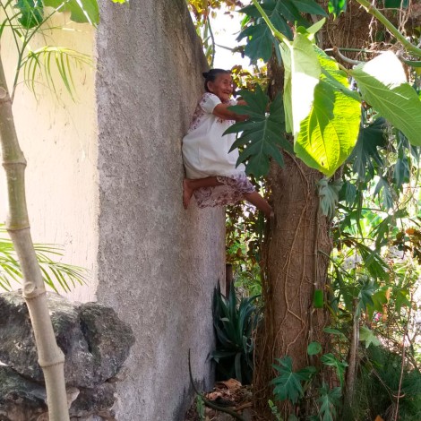 Abuelita de 88 años se hace viral por trepar árboles para cortar fruta