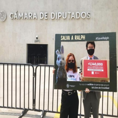 ¡Es oficial! En México prohiben las pruebas de cosméticos en animales