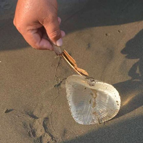 Encuentran extraña medusa en la playa, resulta ser un implante