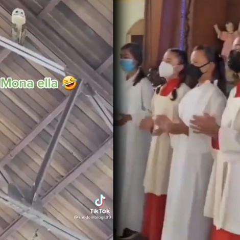 Coro de iglesia canta para ahuyentar a lechuza y ella decide quedarse a “bailar”
