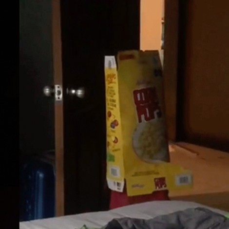Niño se atora en caja de cereal y se vuelve viral