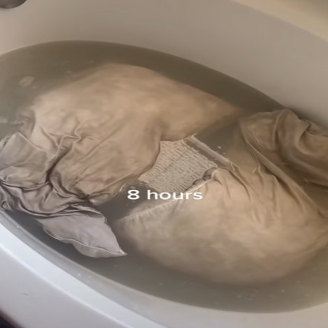 Después de 5 años, mujer lava las almohadas de su esposo y queda horrorizada