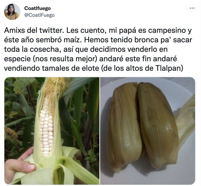 Viral: Joven anuncia venta de tamales y maíz en Twitter para ayudar a su  papá | Actualidad | LOS40 México