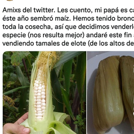 Joven anuncia venta de tamales y maíz en Twitter para ayudar a su papá