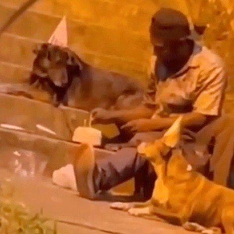 Hombre en situación de calle celebra su cumpleaños con perritos callejeros