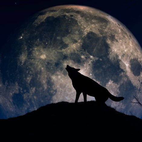Luna de Lobos: Cómo y cuándo ver de la primera Luna Llena de 2022