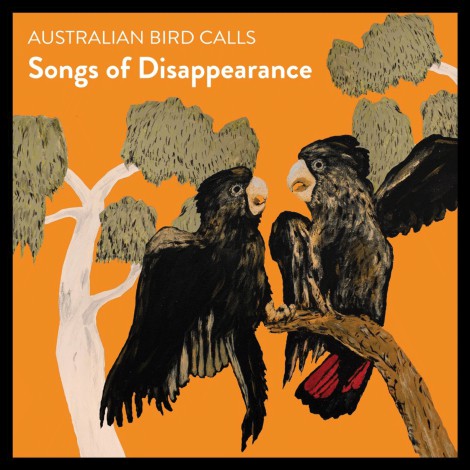 Songs of Dissapearance; el álbum de aves en extinción que es un éxito en Australia