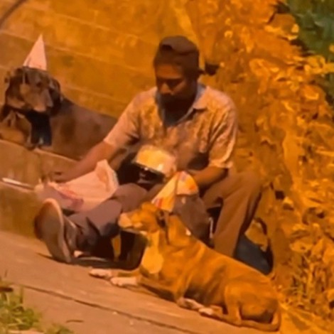 Hombre celebró su cumpleaños con sus perritos en la calle, ya tiene dónde vivir