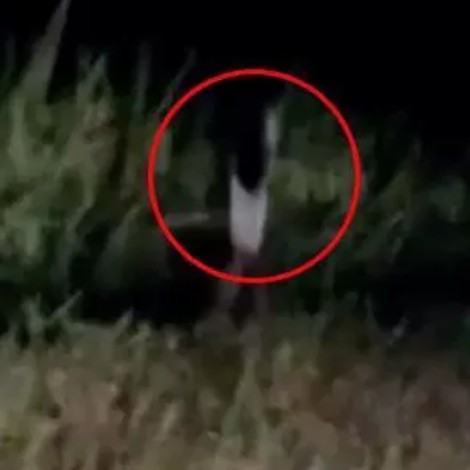 Viralizan video en donde aparece fantasma de famosa leyenda en carretera