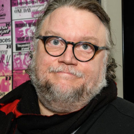 Guillermo del Toro recibirá el premio a la Excelencia Creativa por la Sociedad de Efectos Visuales