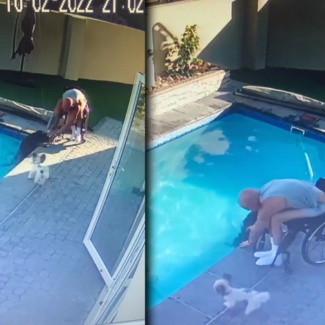 Hombre en silla de ruedas salva a su perrito de ahogarse en una alberca