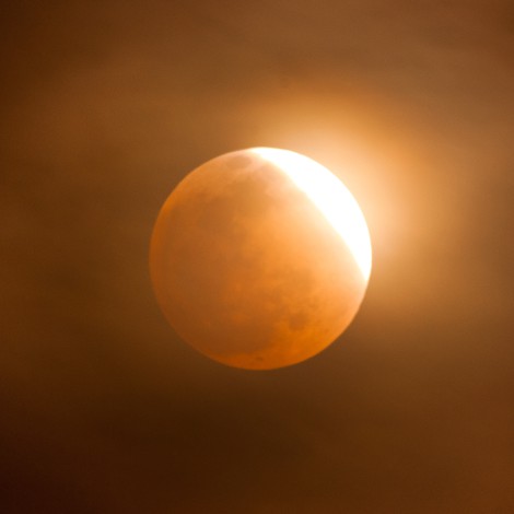 Luna Negra 2022: Cómo y cuándo podremos ver el eclipse total de Luna en mayo
