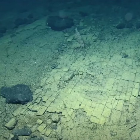 ¿Camino a la Atlántida? Científicos detectan ‘vía de baldosas amarillas’ a mil metros de profundidad del Pacífico