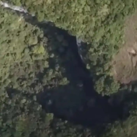 ¡Increíble! Descubren en China un bosque al interior de un sumidero gigante