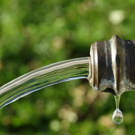 Cinco formas de cuidar el agua mientras hay escasez